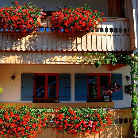Gaestehaus Wild-Schuetz Schwangau Bagian luar foto