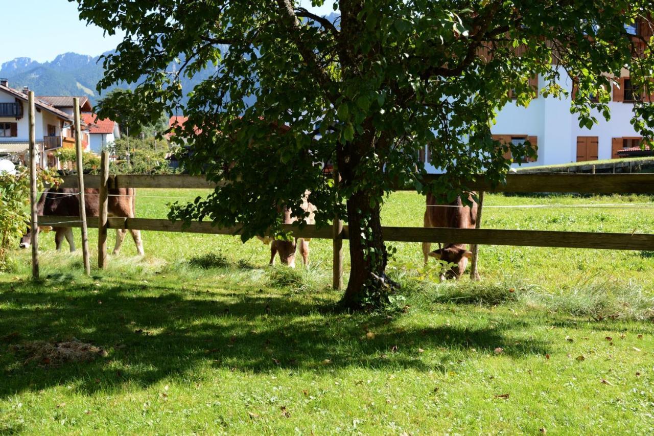 Gaestehaus Wild-Schuetz Schwangau Bagian luar foto