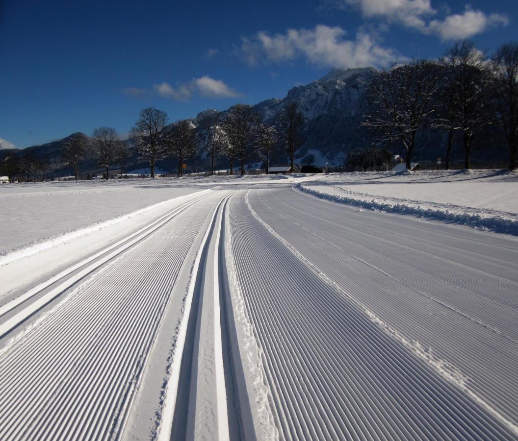 Gaestehaus Wild-Schuetz Schwangau Bagian luar foto