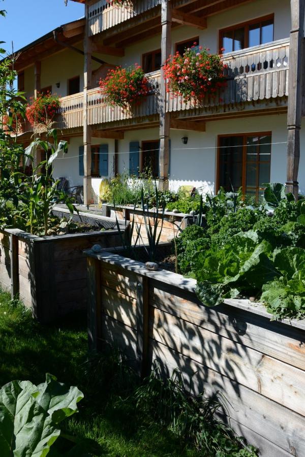 Gaestehaus Wild-Schuetz Schwangau Bagian luar foto