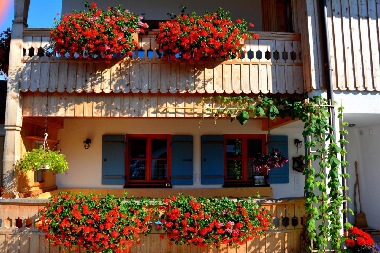 Gaestehaus Wild-Schuetz Schwangau Bagian luar foto